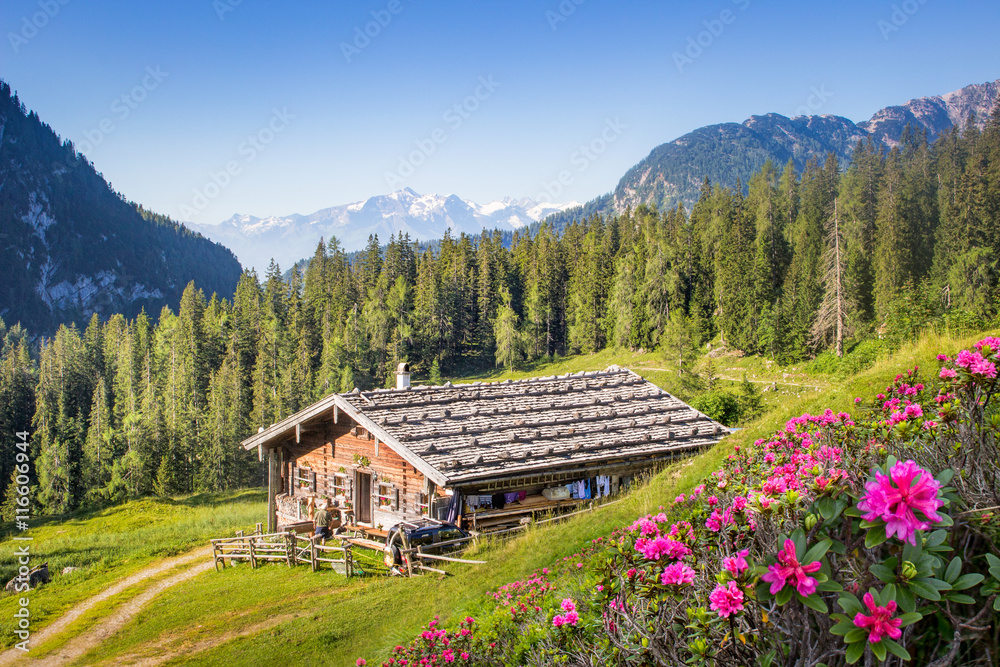 Fototapeta premium Wooden mountain hut in the alps, Salzburg, Austria