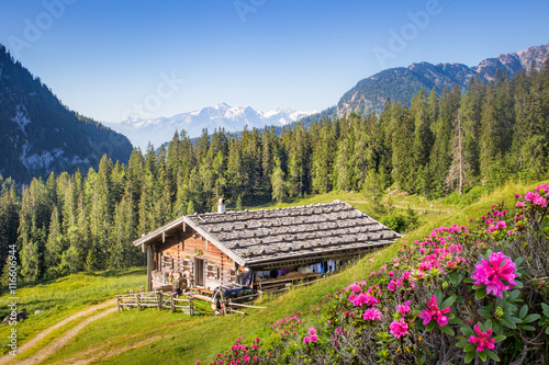 Wooden mountain hut in the alps, Salzburg, Austria photo