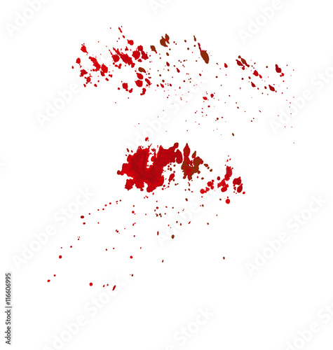 blood wine splatter vector illustration. hand drawn paint spot s