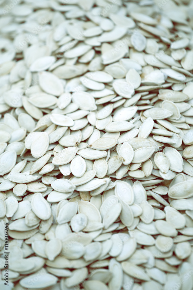 Pile of roasted and salted sunflower seed 4 Pile of roasted and salted sunflower seed 4