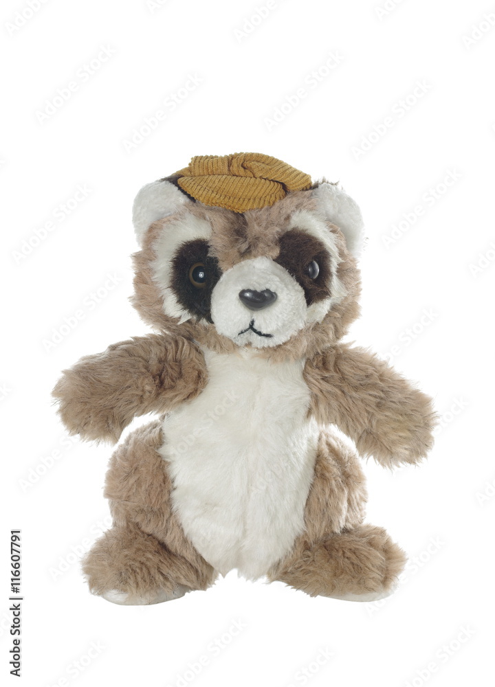 brown white bear panda