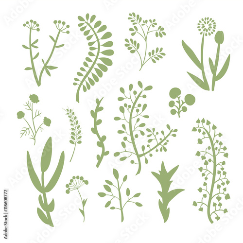 Set of hand-drawn silhouette of branches with leaves and berries.