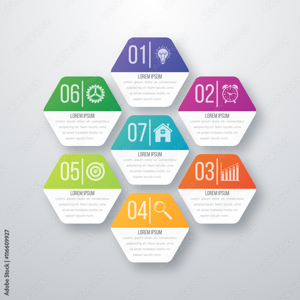 Vector illustration infographics seven hexagons Vector illustration infographics seven hexagons