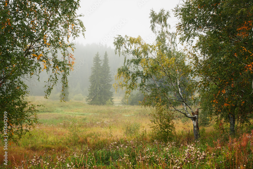 Fototapeta premium early autumn