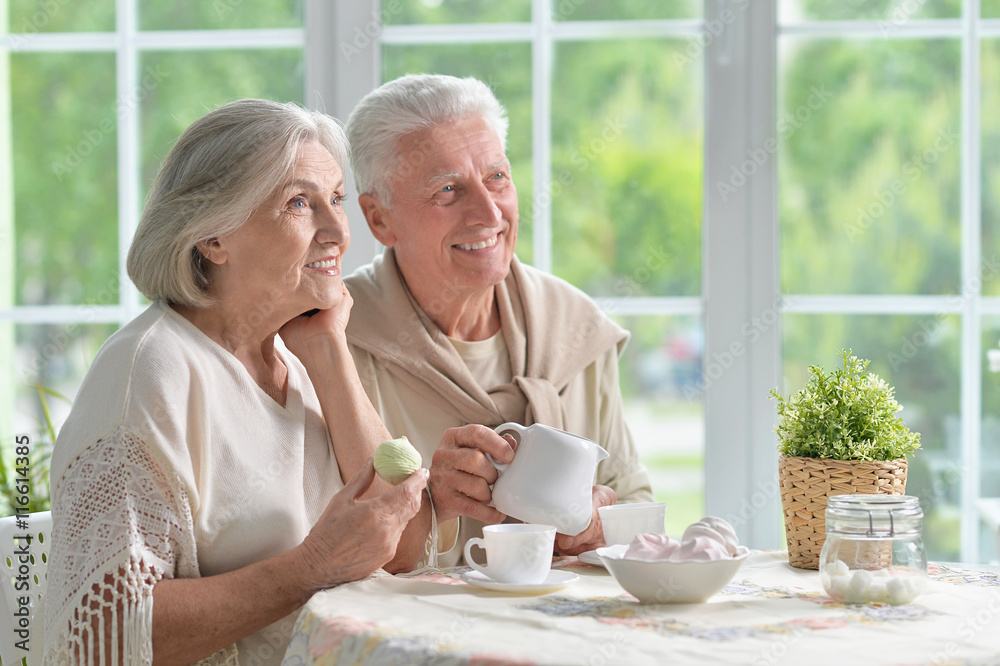 Senior couple drinking tea Senior couple drinking tea