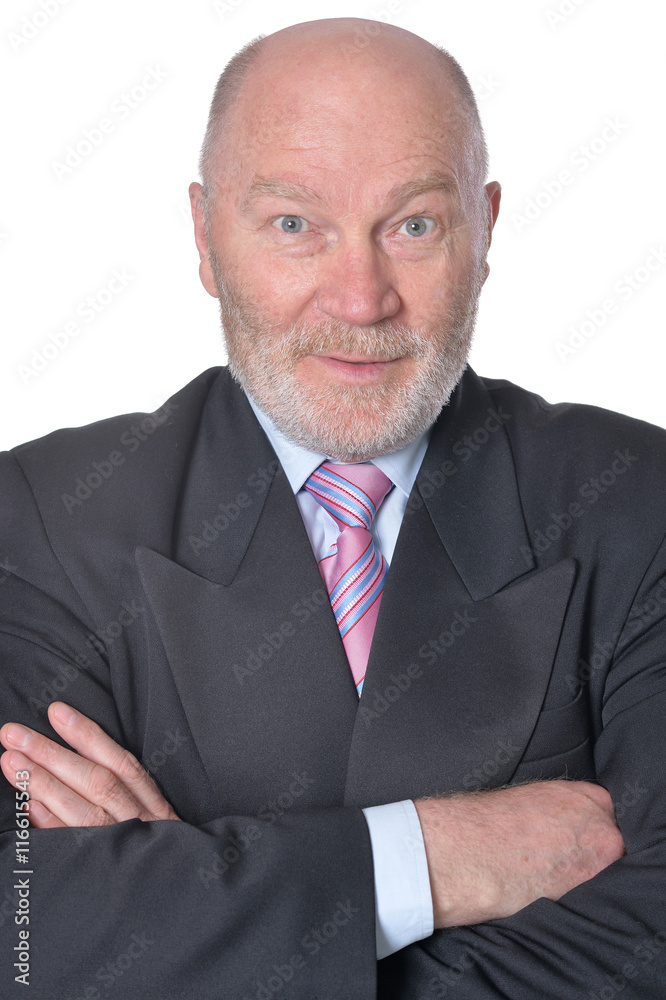 Portrait of Elderly  businessman
