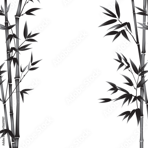 Bamboo bush painting over white background. Leaves of bamboo tree as symbol of japan culture. Vector illustration. © Kotkoa