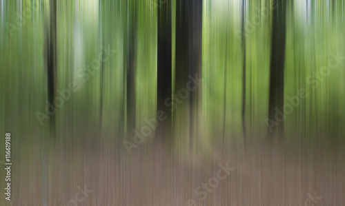 Blurred tress for abstract background.