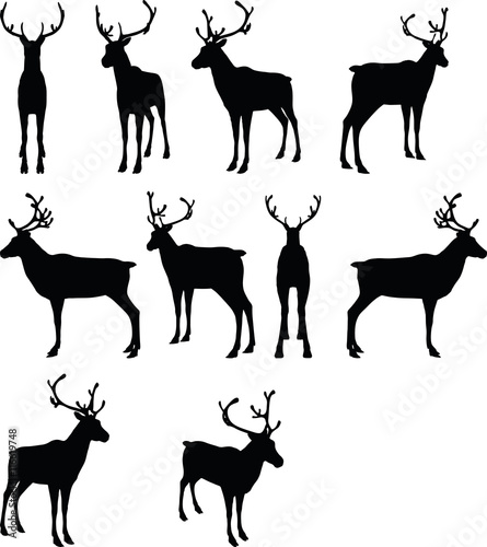 reindeer collection vector silhouette