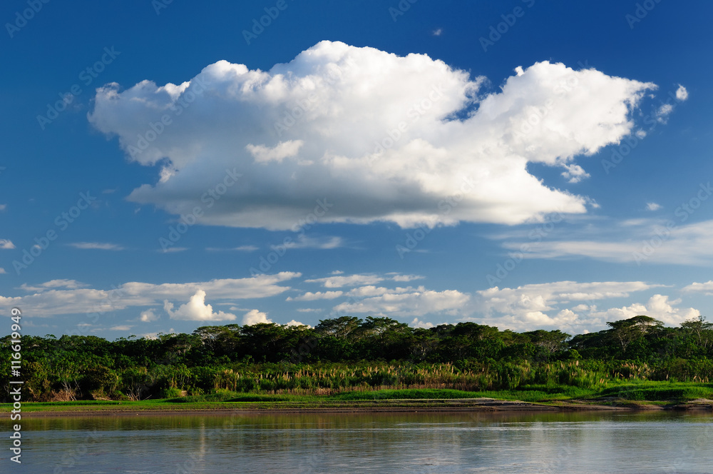 South America, Amazon river landscape in Brazil South America, Amazon river landscape in Brazil