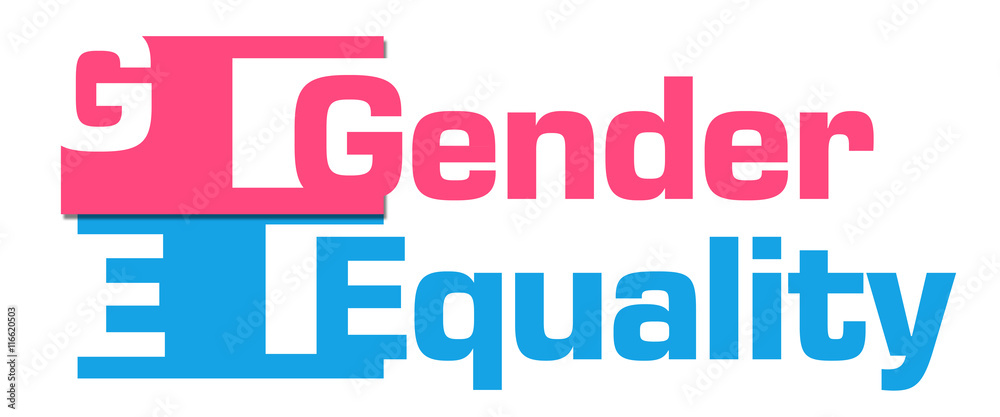 Gender Equality Pink Blue Abstract Stripes Gender Equality Pink Blue Abstract Stripes