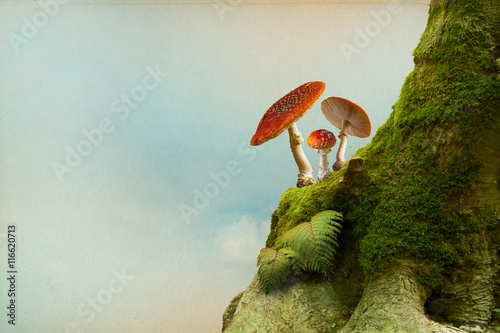 Background with moss and fly agaric