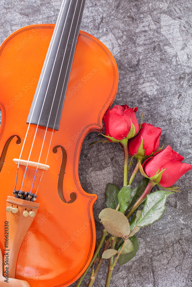 Fototapeta premium Red rose