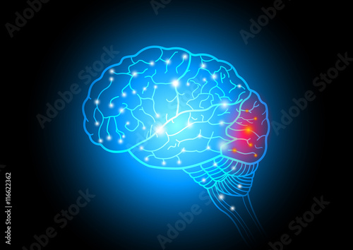 Abstract technology and science of intelligence connectivity network in Human brain, vector illustration