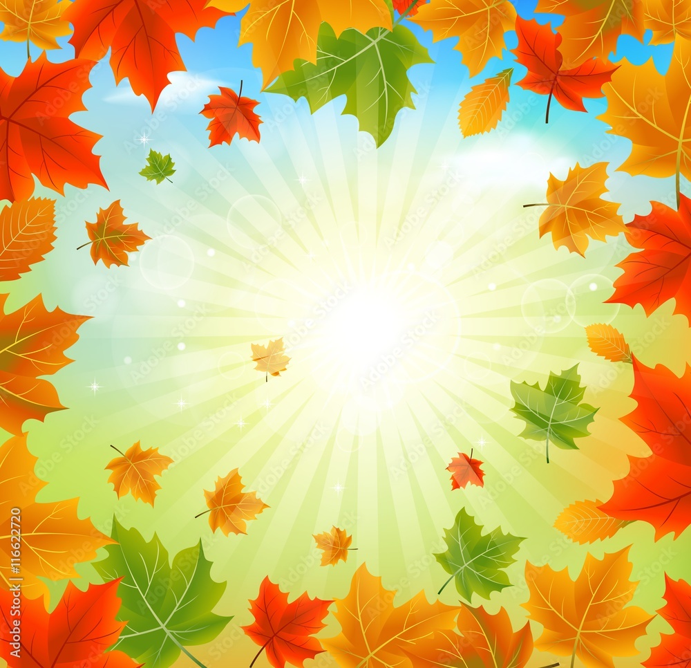 Branch With Autumn Maple Leaves And Sunshine Branch With Autumn Maple Leaves And Sunshine