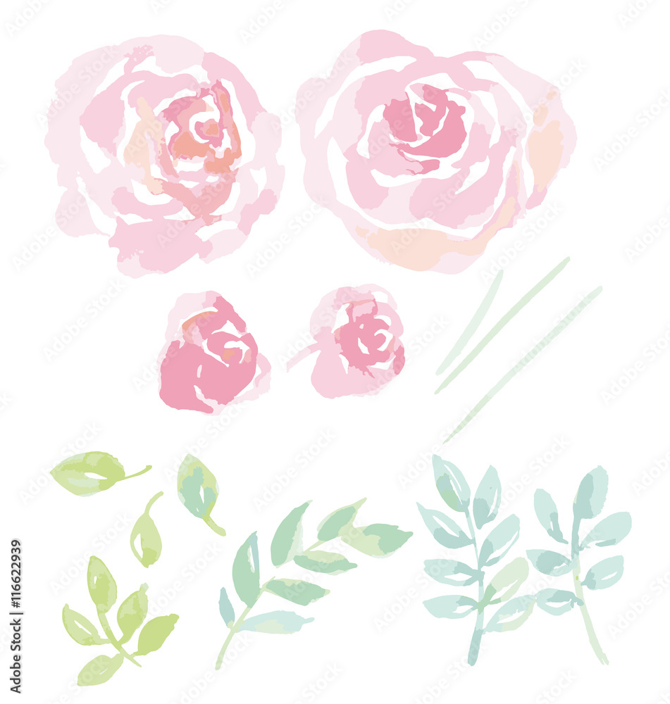 rose watercolor flowers kit for design. watercolor hand drawn el