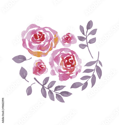 rose watercolor flowers kit...