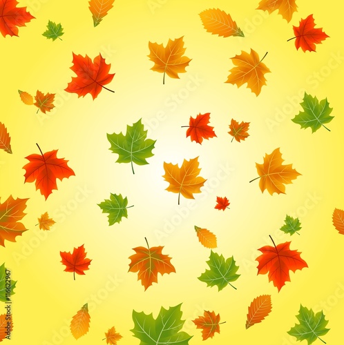 Colorful autumn leaves of yellow background