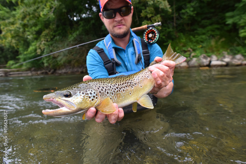 Fly-fisherman holding brown trout out of the water