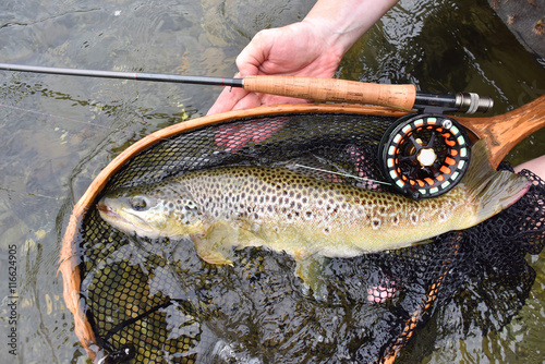 Closeup of brown trout fish, net, fishing rod, set by river