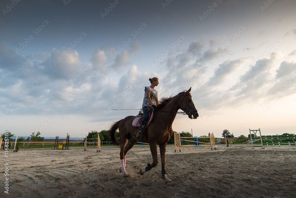Young girl riding a horse Young girl riding a horse