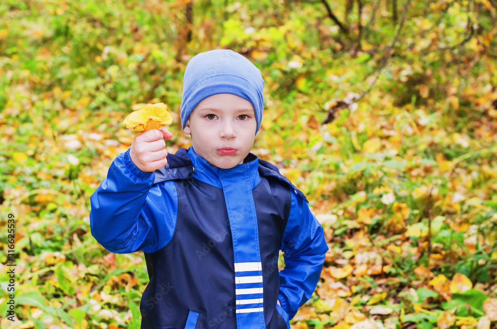 The boy gathers in the autumn forest mushrooms The boy gathers in the autumn forest mushrooms