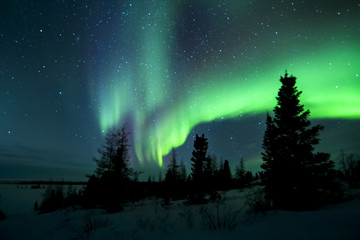 Papier peint photo Arctique Aurores boréales nocturnes au Manitoba canadien  © andreanita