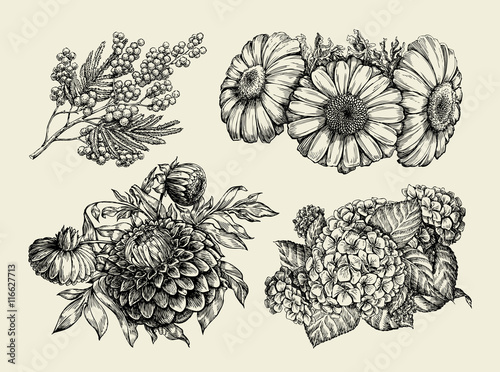 Flowers. Hand drawn sketch of chamomile, mimosa, hortensia, dahlia. Vector illustration