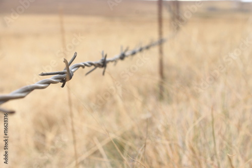 a wire fence in a grassy landscape
