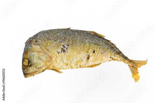 Fried Mackerel fish isolated on white background photo