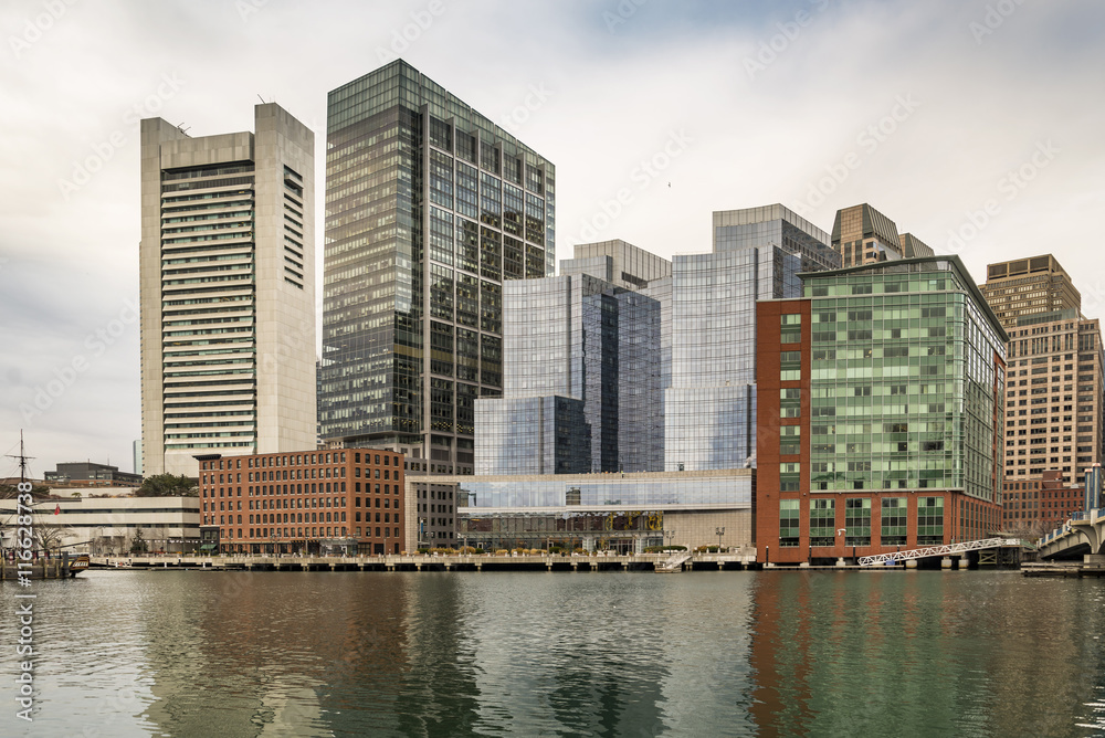 Portrait of Boston Downtown