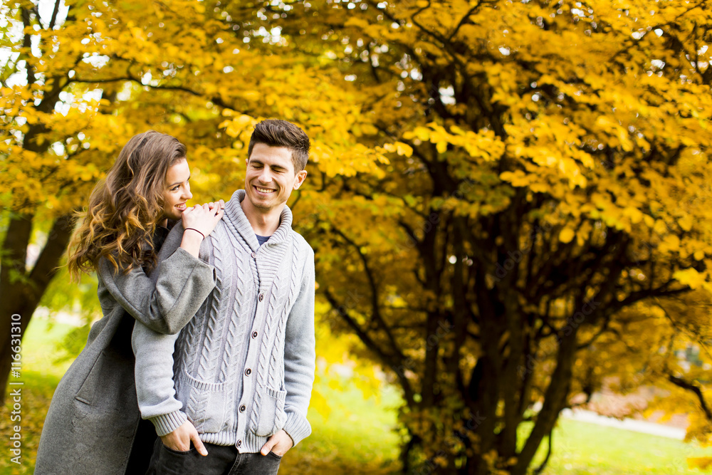 Couple in autumn park Couple in autumn park