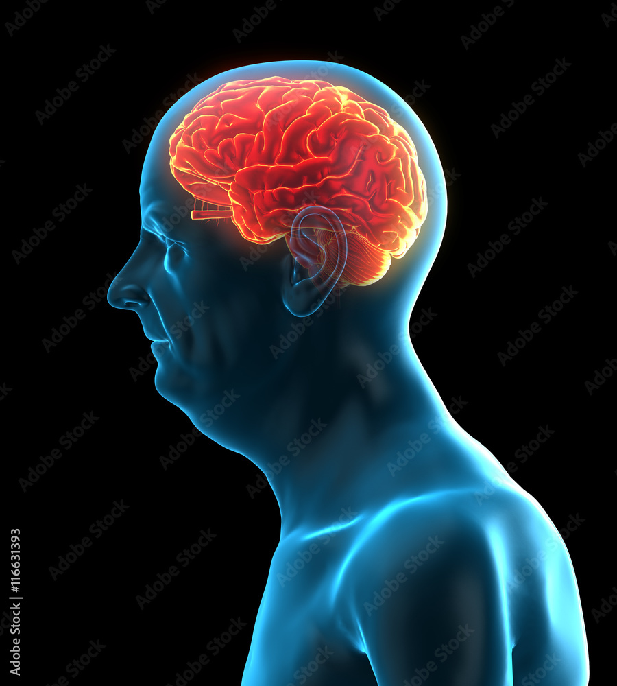 3d rendered medically accurate illustration of an old man´s brain 3d rendered medically accurate illustration of an old man´s brain