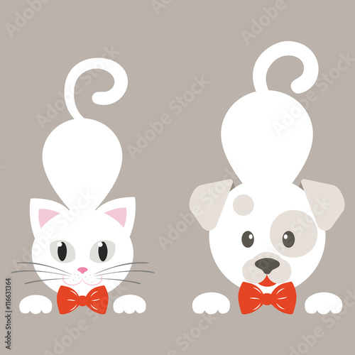 cartoon dog and cat white vector