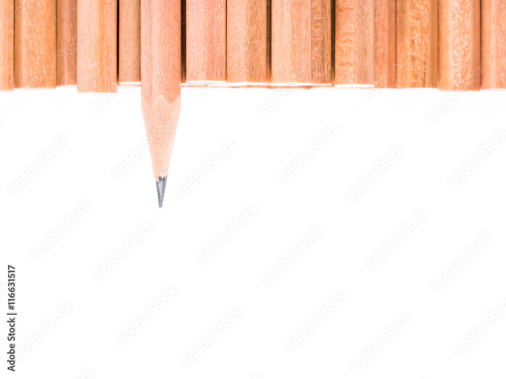 Isolated sharp pencil stand out of other brown pencils Isolated sharp pencil stand out of other brown pencils