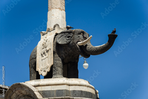 The elephant statue in Catania, Sicily