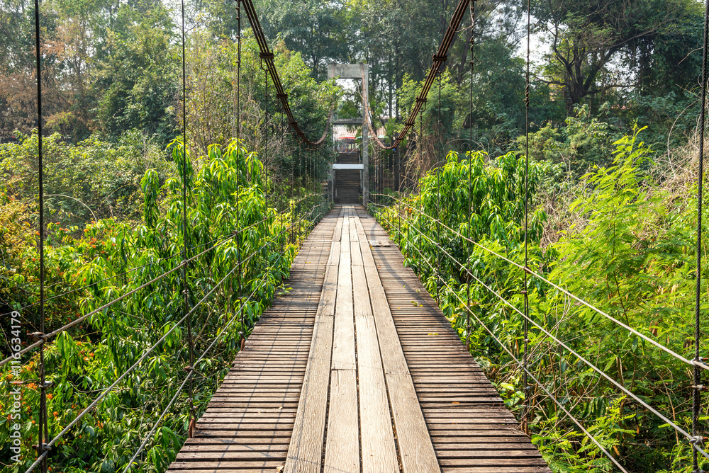 hanging suspension bridge cross over jungle hanging suspension bridge cross over jungle
