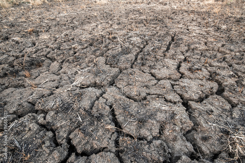 brown soil arid , season water shortage season no tree on land