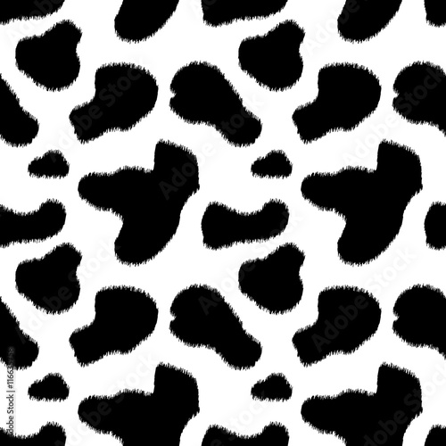 Black and white cow skin an...