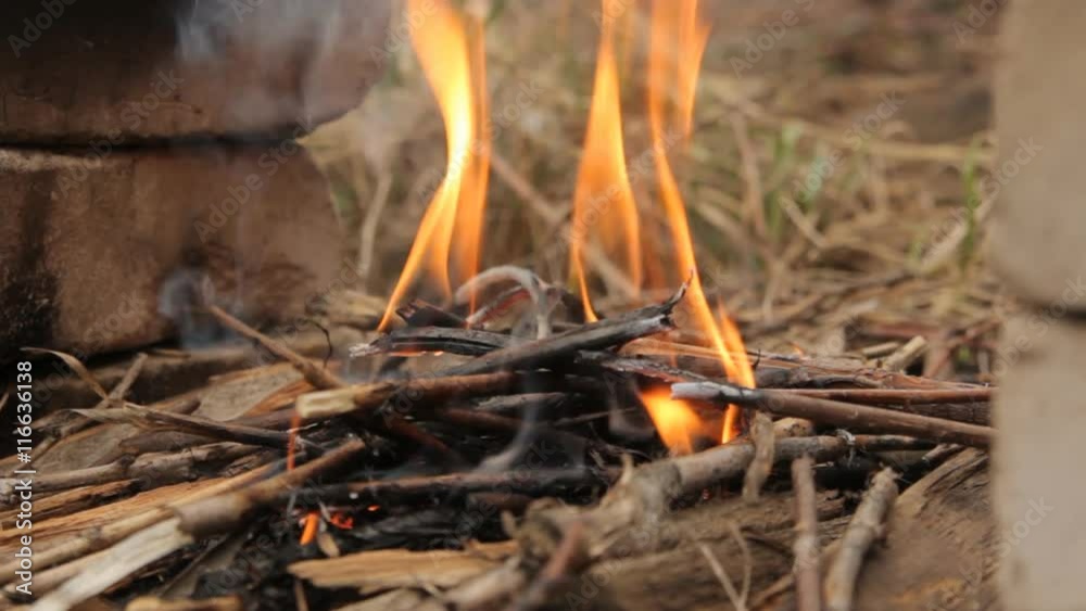 Flaming bonfire with small twigs. Flaming bonfire with small twigs.