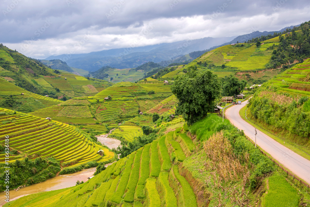 Fototapeta premium beautiful landscape view of rice terraces and house in Mu cang c