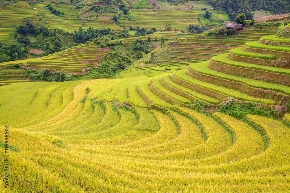 beautiful landscape rice terrace view in hmong village at la pan