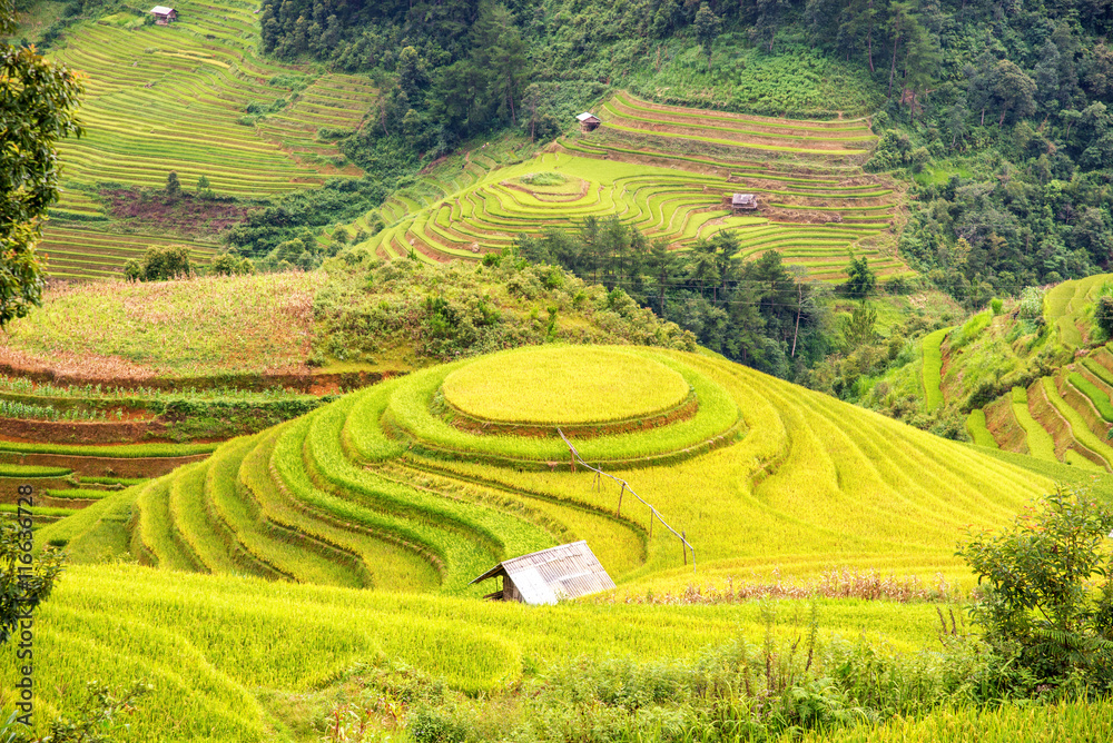 beautiful landscape rice terrace view in hmong village at la pan