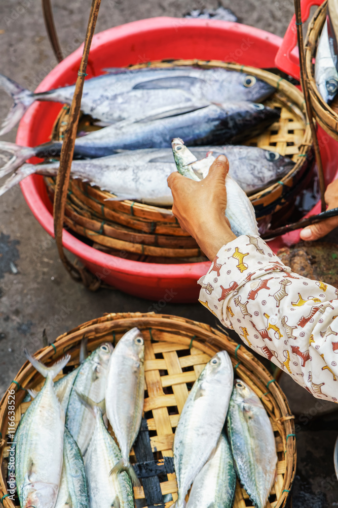 Hand of Asian woman selling fresh fish in street market