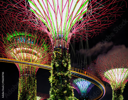 Supertree grove of the Gardens by the Bay of Singapore photo