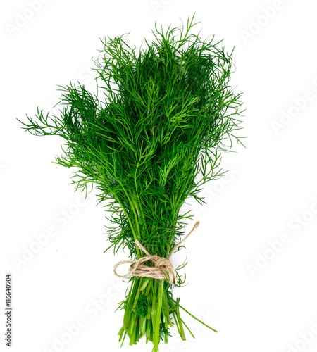 Fresh Juicy Dill Isolated on White Background