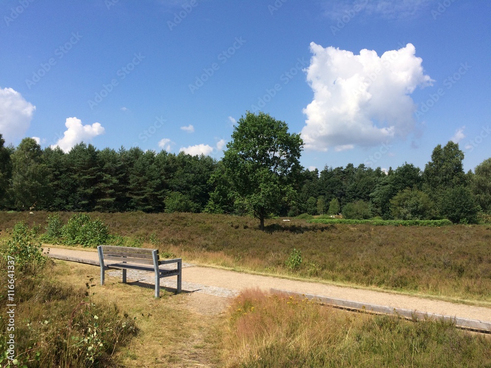 Sitzbank in Heidefläche der Lüneburger Heide Sitzbank in Heidefläche der Lüneburger Heide