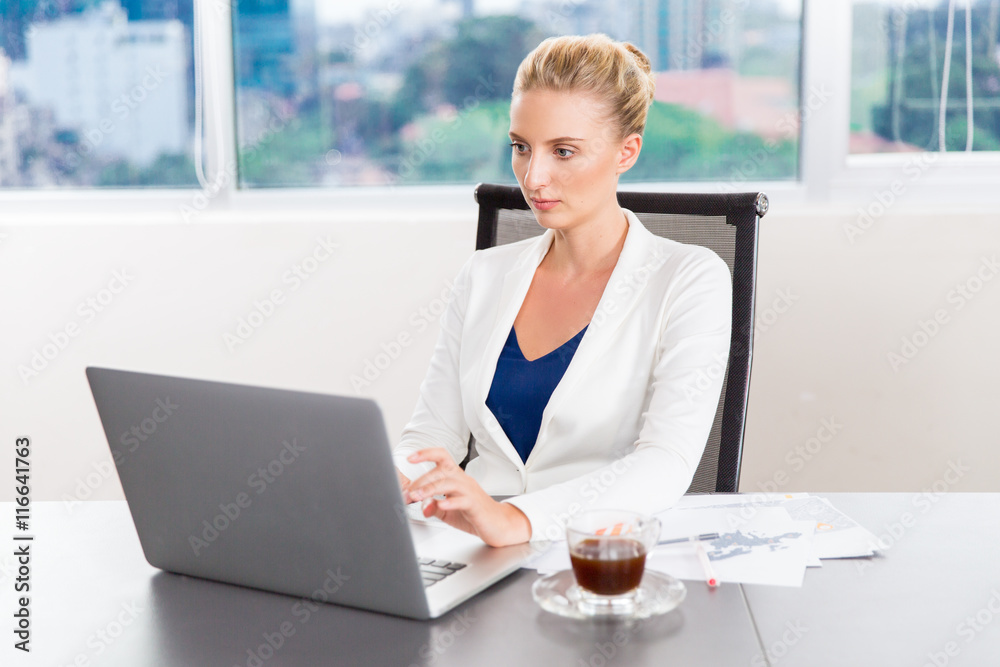 Businesswoman Working On Laptop - obrazy, fototapety, plakaty 
