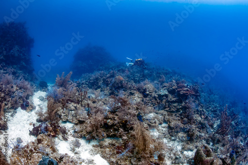 Closed Circuit Rebreather Diver on a Coral Reef Wall