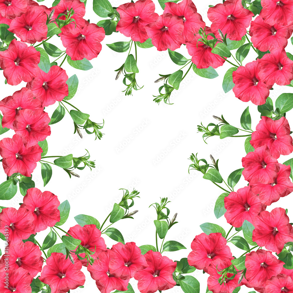 Beautiful floral background with branches of pink petunias 